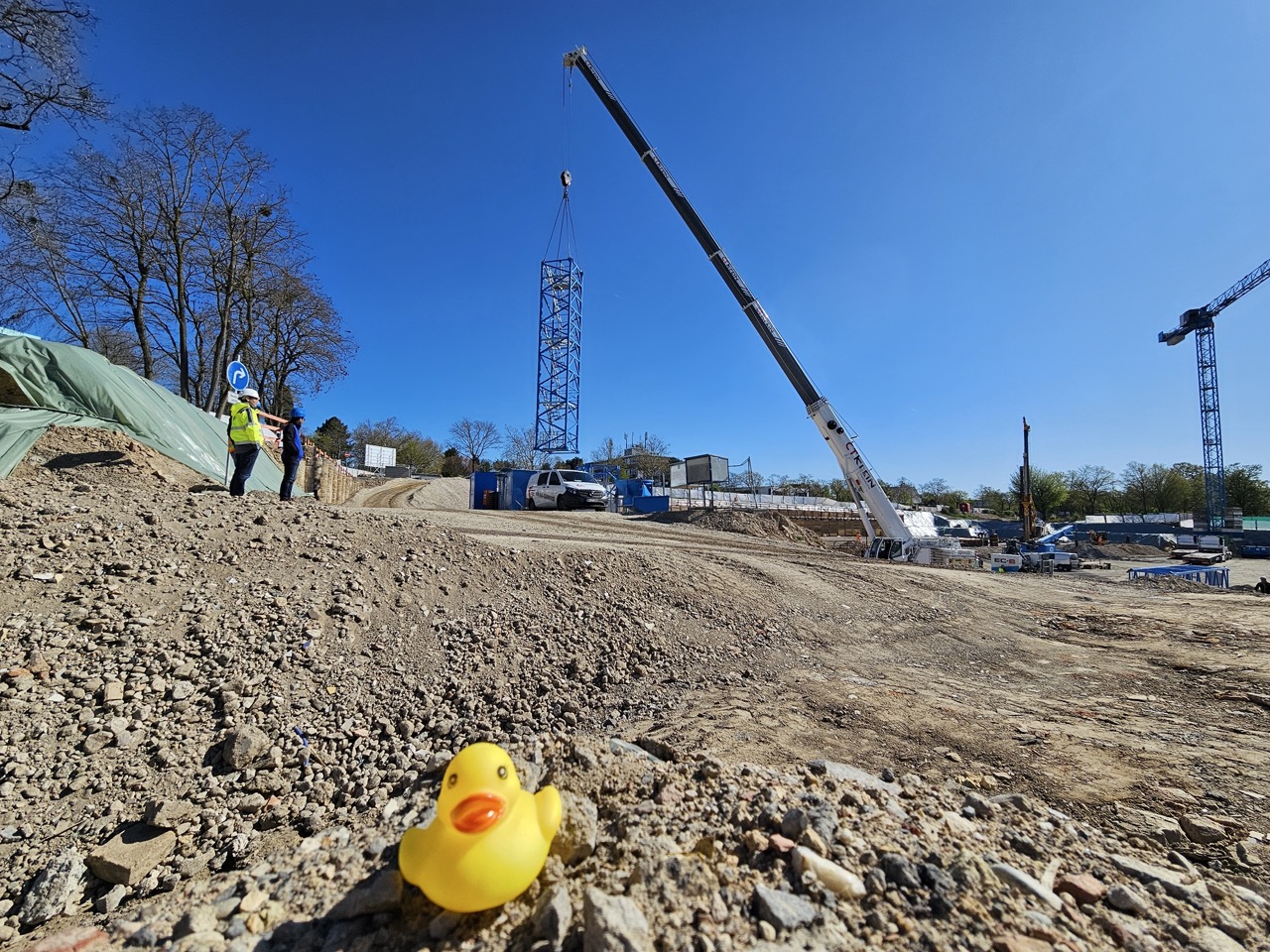 5_unser kleiner Badegast ist mit dabei